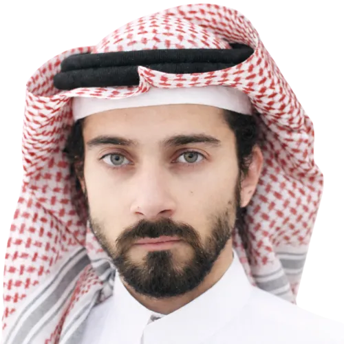 Hani B Alhemsi