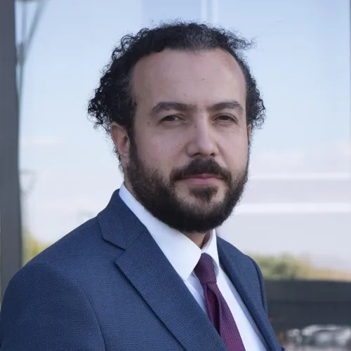 Muhammed Seyid Pehlivan