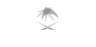 Economic cities and special zones authority