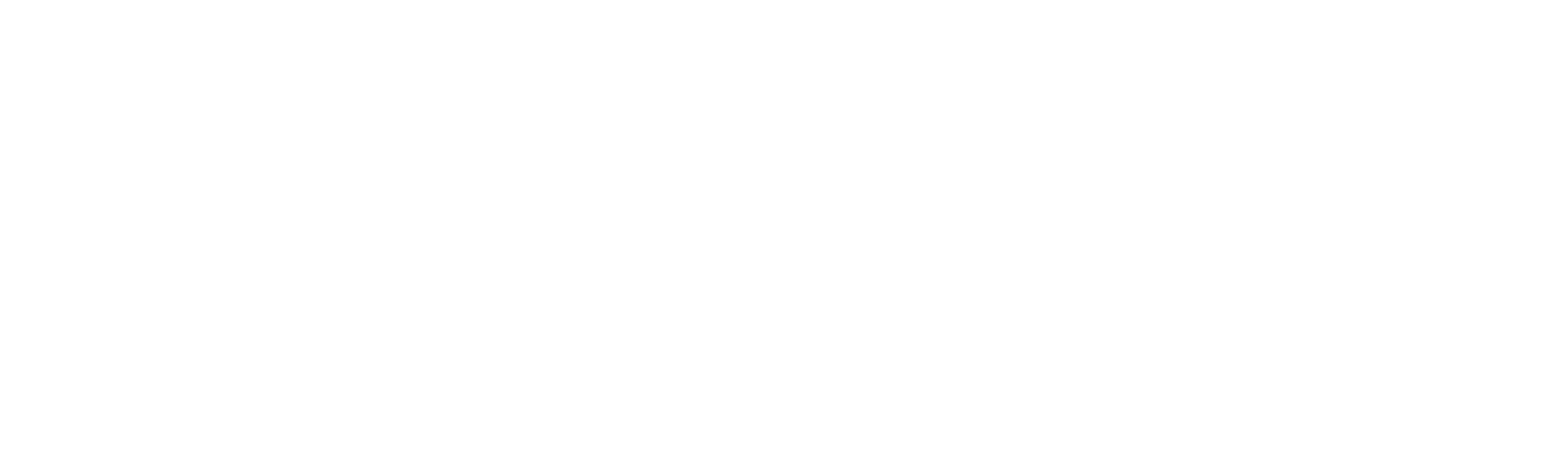 broadcom 2.png