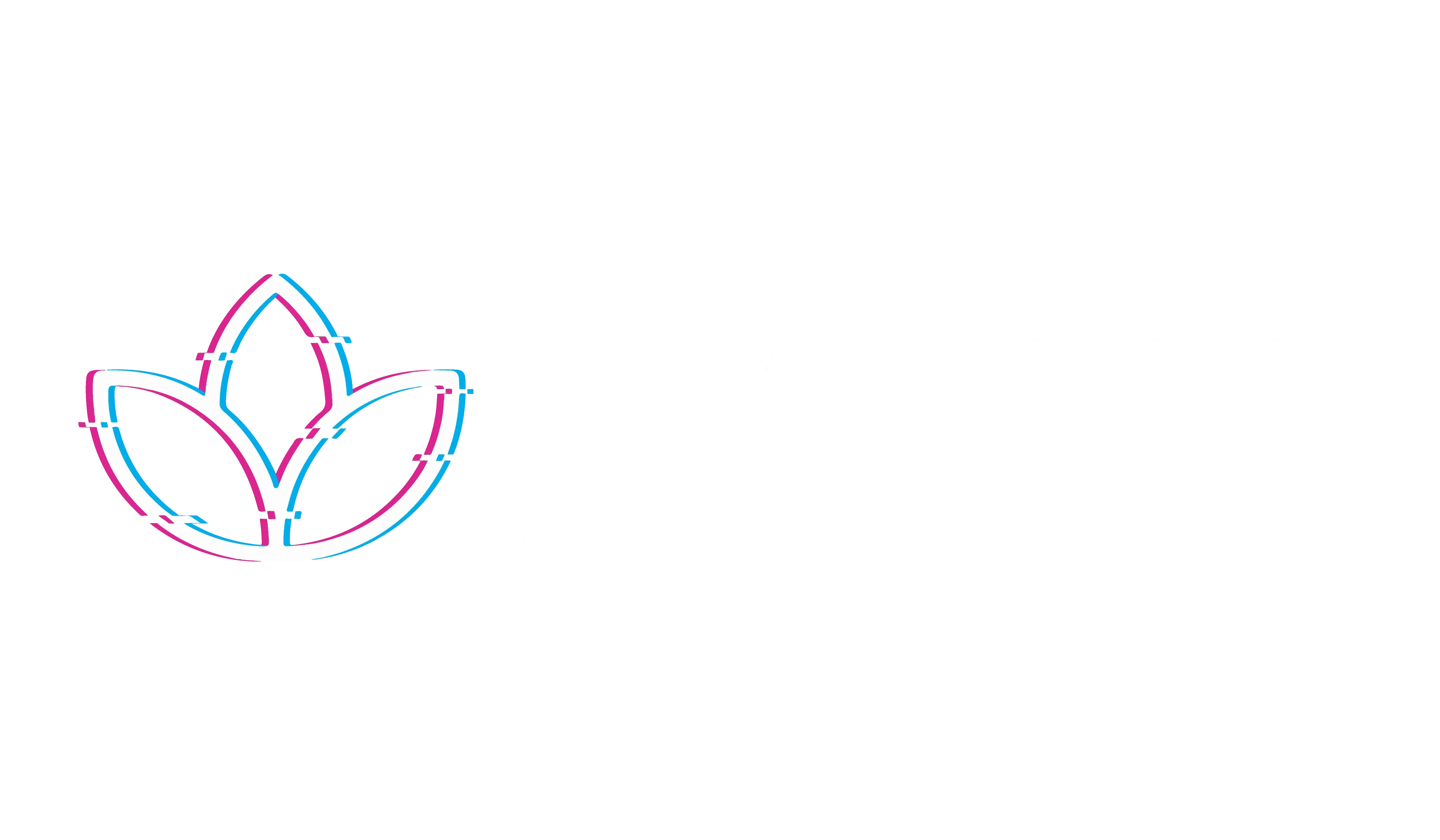 Blossom Advisory - Blossom Accelerator.png