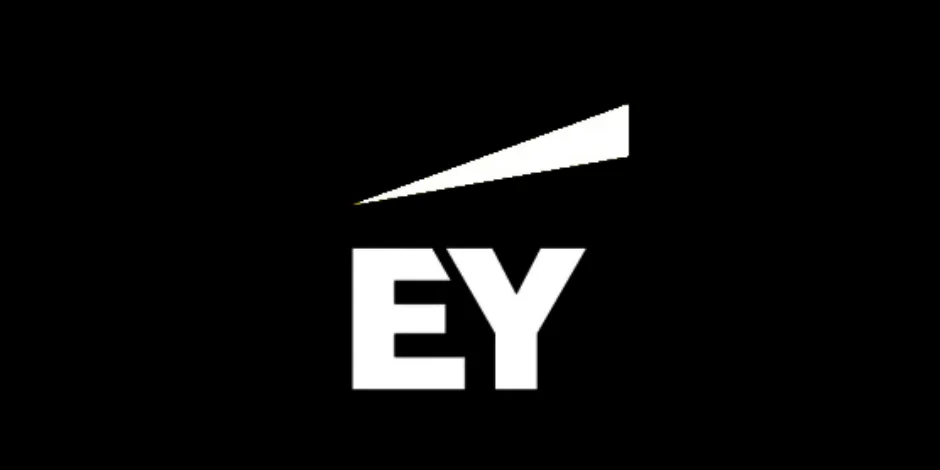 EY Business Services