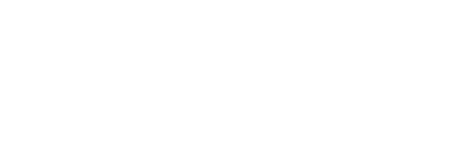 ALFIA Holding