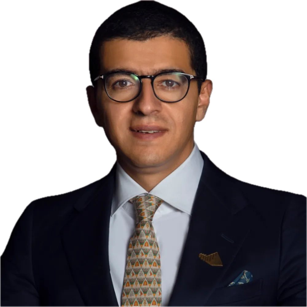 Mohamed (Nagaty) Aboulnaga
