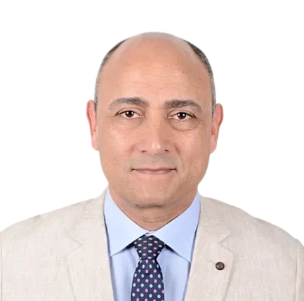 Prof. Yehia Abdel-Aziz