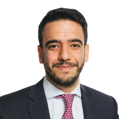Ahmed El Hamawy