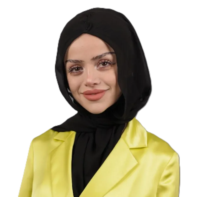 Abir El Saghir